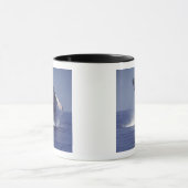 Sluiting van de walvis (Megaptera Mok (Midden)