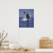 Sluiting van de walvis (Megaptera Poster (Keuken)