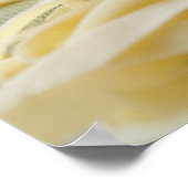 Sluiting van deegnoedels poster (Hoek)