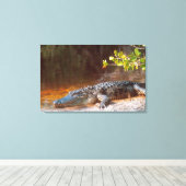 Sluiting van een amerikaanse alligator bij de N.N. Canvas Afdruk (Insitu (Houten vloer))
