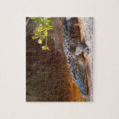 Sluiting van een amerikaanse alligator bij de N.N. Legpuzzel (Verticaal)