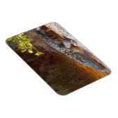 Sluiting van een amerikaanse alligator bij de N.N. Magneet (Rechterzijde)