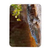 Sluiting van een amerikaanse alligator bij de N.N. Magneet (Verticaal)