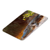 Sluiting van een amerikaanse alligator bij de N.N. Magneet (Linkerzijde)