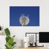 Sluiting van een andelion poster (Thuiskantoor)