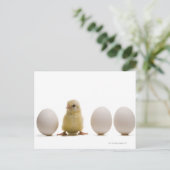 Sluiting van een baby-kuiken met drie eieren briefkaart (Staand voorkant)