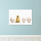 Sluiting van een baby-kuiken met drie eieren canvas afdruk (Insitu (Houten vloer))