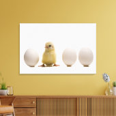 Sluiting van een baby-kuiken met drie eieren canvas afdruk (Insitu (Woonkamer))
