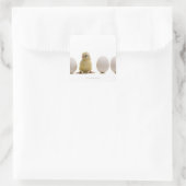 Sluiting van een baby-kuiken met drie eieren vierkante sticker (Tas)