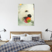 Sluiting van een Bichon Frise die een aardbei eet Canvas Afdruk (Insitu (Slaapkamer))