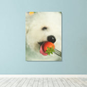 Sluiting van een Bichon Frise die een aardbei eet Canvas Afdruk (Insitu (Houten vloer))