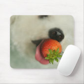 Sluiting van een Bichon Frise die een aardbei eet Muismat (Met muis)
