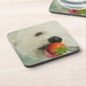 Sluiting van een Bichon Frise die een aardbei eet Onderzetter (Linkerzijde)