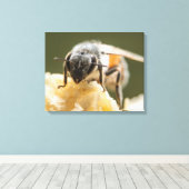 Sluiting van een bijen in een bijenkorf canvas afdruk (Insitu (Houten vloer))