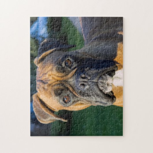 Sluiting van een Boxer Dog Legpuzzel (Verticaal)