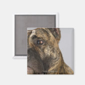Sluiting van een Boxer Magneet (Voorkant / Achterkant)