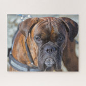 Sluiting van een Brindle Boxer Puppy Dog Legpuzzel (Horizontaal)