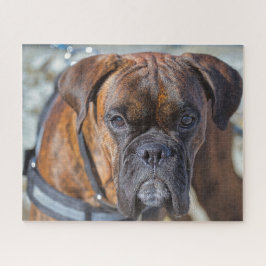 Sluiting van een Brindle Boxer Puppy Dog Legpuzzel