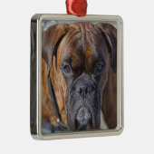 Sluiting van een Brindle Boxer Puppy Dog Metalen Ornament (Rechts)