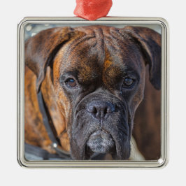 Sluiting van een Brindle Boxer Puppy Dog Metalen Ornament