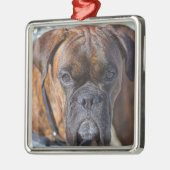 Sluiting van een Brindle Boxer Puppy Dog Metalen Ornament (Links)