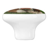 Sluiting van een bruine en witte koe keramische knop (Zijkant)