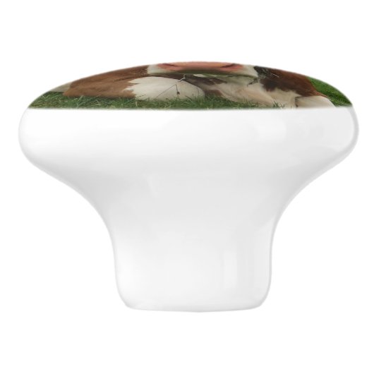 Sluiting van een bruine en witte koe keramische knop (Zijkant)