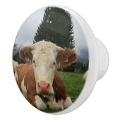 Sluiting van een bruine en witte koe keramische knop (Rechts)