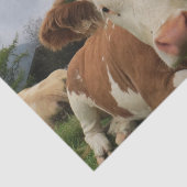 Sluiting van een bruine en witte koe tissuepapier (Detail)