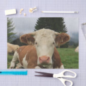 Sluiting van een bruine en witte koe tissuepapier (Craft)