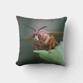 Sluiting van een Cicada-moordenaar Kussen