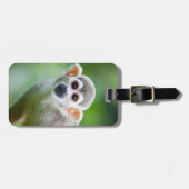 Sluiting van een Common Squirrel Monkey Bagagelabel (Voorkant horizontaal)