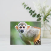 Sluiting van een Common Squirrel Monkey Briefkaart (Staand voorkant)