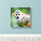 Sluiting van een Common Squirrel Monkey Canvas Afdruk (Insitu (Houten vloer))