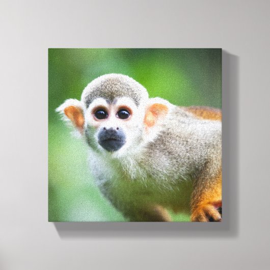 Sluiting van een Common Squirrel Monkey Canvas Afdruk (Voorkant)