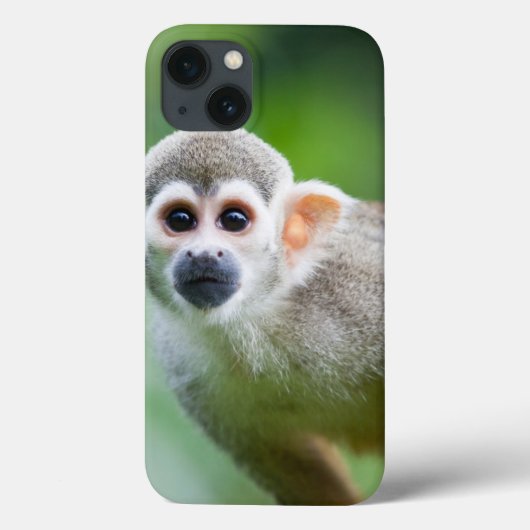 Sluiting van een Common Squirrel Monkey Case-Mate iPhone Case (Achterkant)