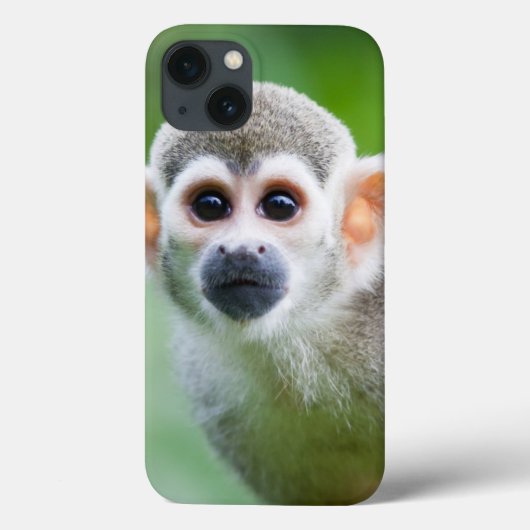 Sluiting van een Common Squirrel Monkey Case-Mate iPhone Case (Achterkant)