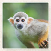 Sluiting van een Common Squirrel Monkey Glazen Onderzetter (Voorkant)
