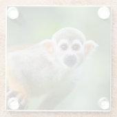 Sluiting van een Common Squirrel Monkey Glazen Onderzetter (Achterkant)