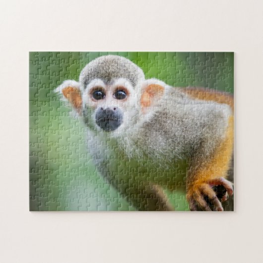 Sluiting van een Common Squirrel Monkey Legpuzzel (Horizontaal)