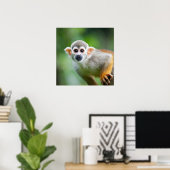 Sluiting van een Common Squirrel Monkey Poster (Thuiskantoor)