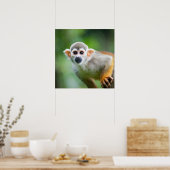 Sluiting van een Common Squirrel Monkey Poster (Keuken)
