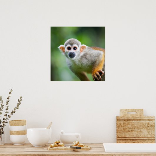 Sluiting van een Common Squirrel Monkey Poster (Keuken)