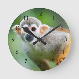 Sluiting van een Common Squirrel Monkey Ronde Klok