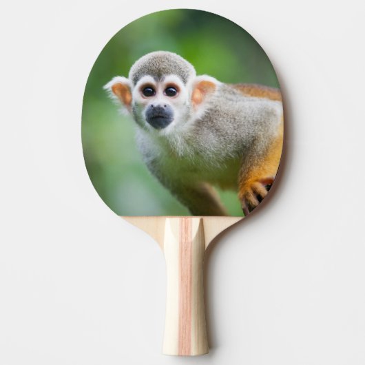 Sluiting van een Common Squirrel Monkey Tafeltennisbatje (Voorkant)