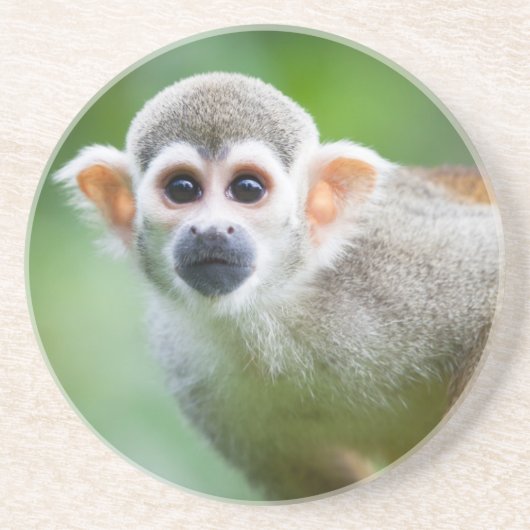 Sluiting van een Common Squirrel Monkey Zandsteen Onderzetter (Voorkant)