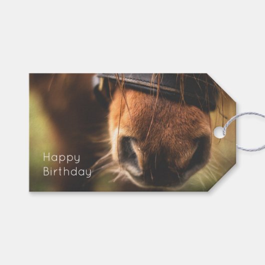 Sluiting van een Cute Brown Horse Nose Birthday Cadeaulabel (Voorkant (Horizontaal))