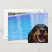 Sluiting van een Dachshund-hond Briefkaart (Voorkant / Achterkant)