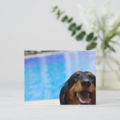 Sluiting van een Dachshund-hond Briefkaart (Staand voorkant)