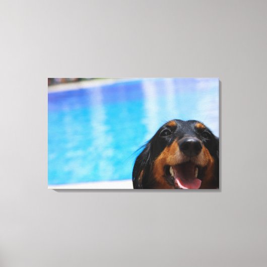 Sluiting van een Dachshund-hond Canvas Afdruk (Voorkant)